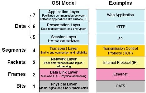network layer network layer protocols network layer protocols